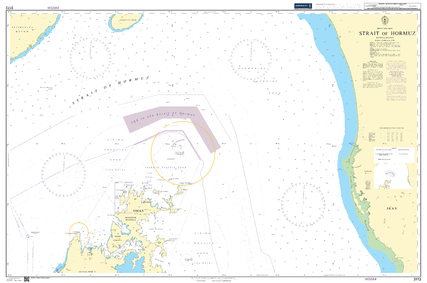 BA3172 - Strait of Hormuz