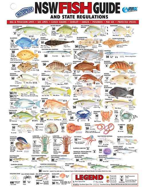 NSW-Fish-ID