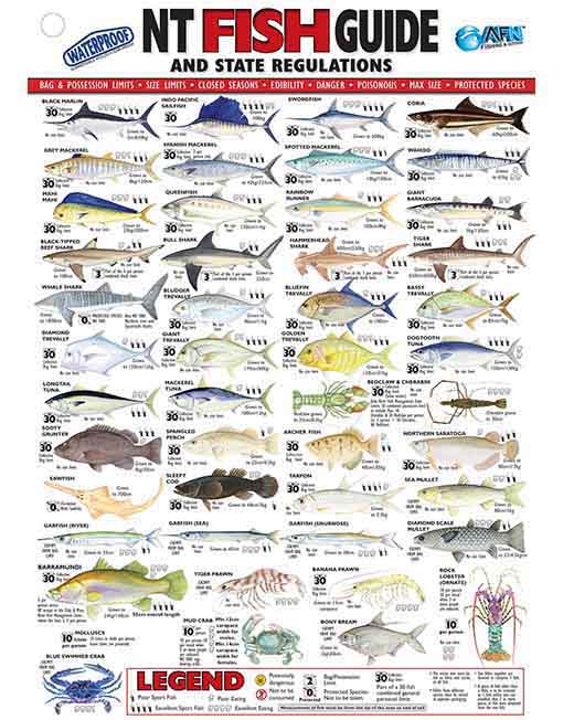 NT-Fish-ID-Card