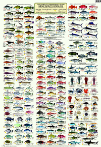 Fisherman's Fish Identification- New South Wales Fisherman's Guide