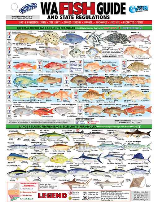 Waterproof Fish WA