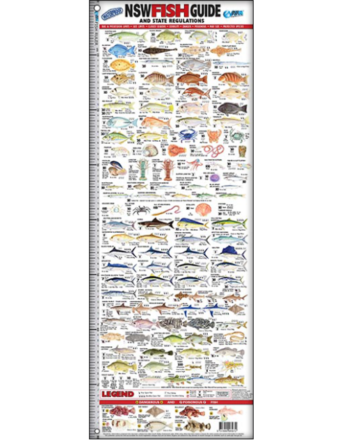 NSW Fish ruler