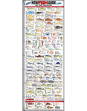 compare product NEW SOUTH WALES FISH ID RULER (NSW)
