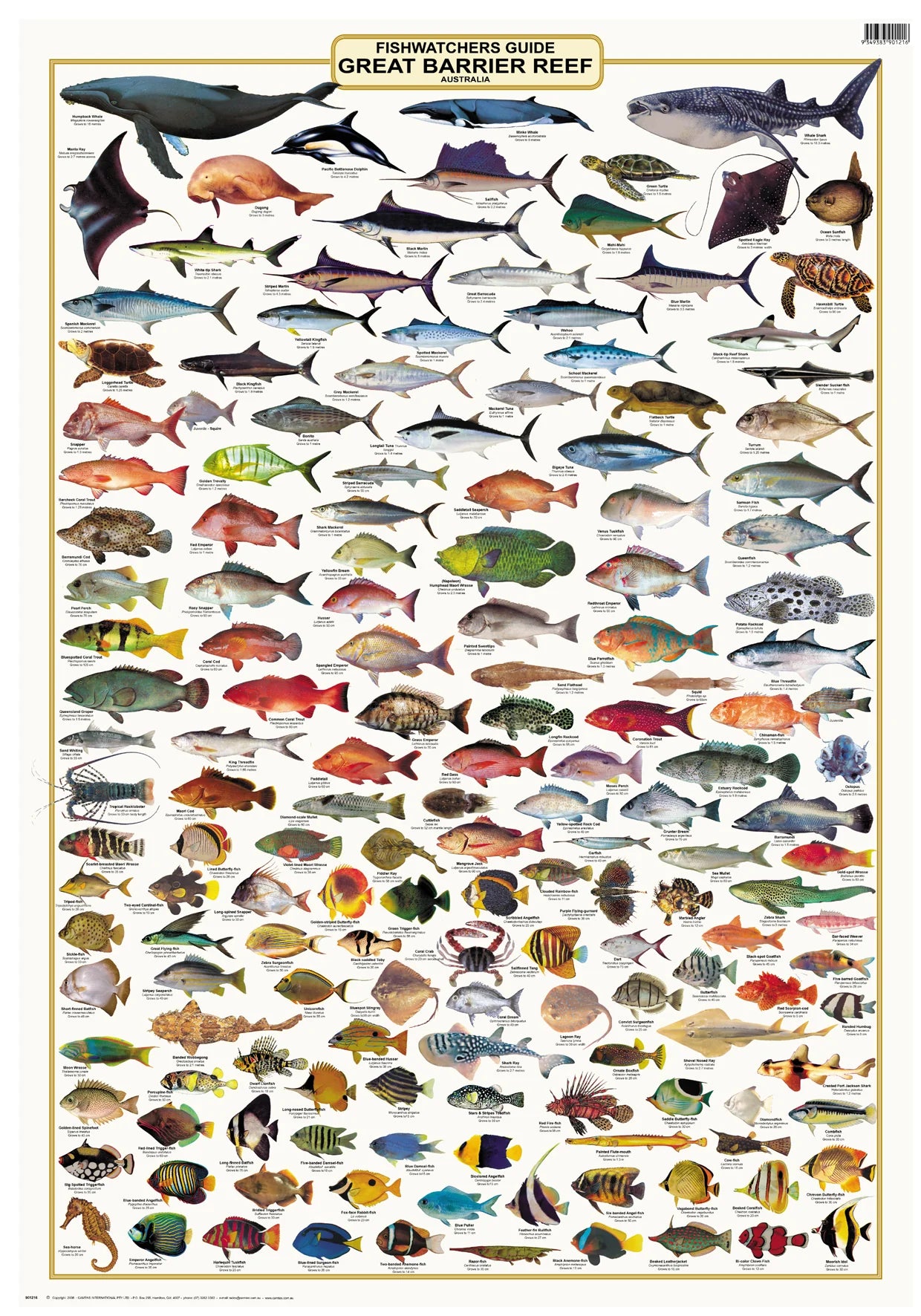QLD_Fishwatchers_Guide_Great_Barrier_Reef