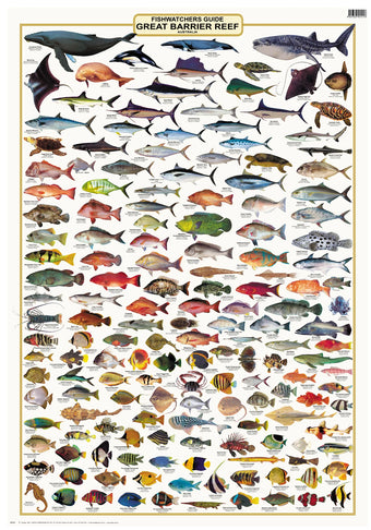 compare product Fish Identification- Great Barrier Reef, Fishwatchers Species Wall Chart
