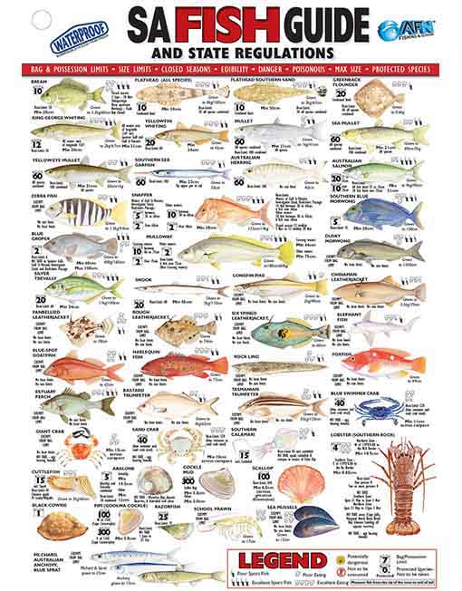 SA-Fish-ID
