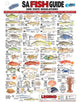 SA-Fish-ID