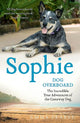 Sophie Dog overboard