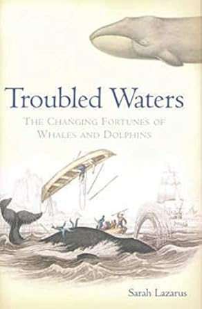 Troubled Waters