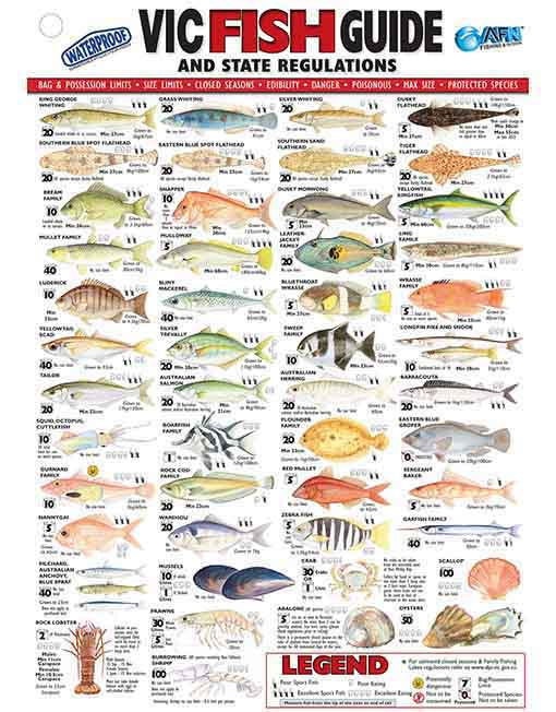 VIC-Fish-ID