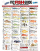 VIC-Fish-ID