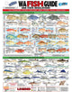 Waterproof Fish WA