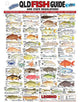 Waterproof Fish QLD