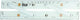 Weems and Plath 12inch parallel rule cpatains field
