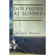 Dolphins at Sunset - A family voyage around the world.