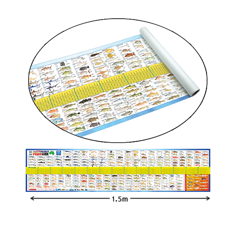 fish ruler