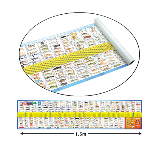 fish ruler
