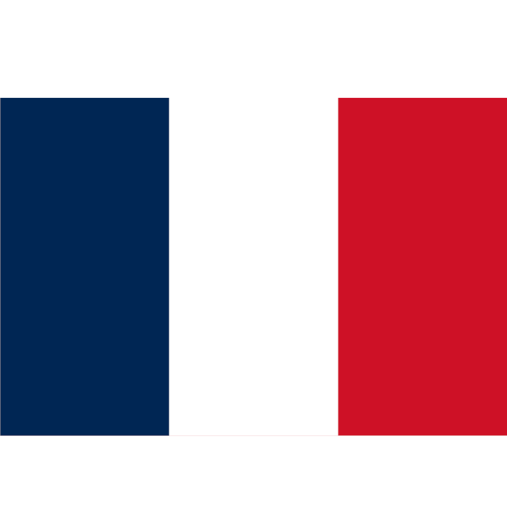 French Courtesy Flag
