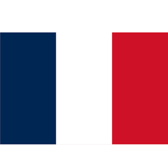 compare product French Courtesy Flag