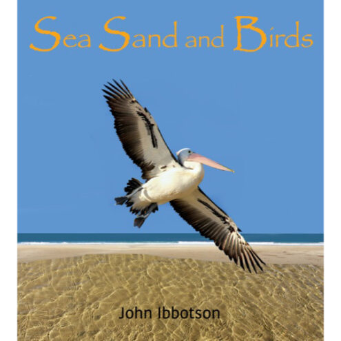 Sea Sand and Birds