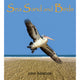 Sea Sand and Birds