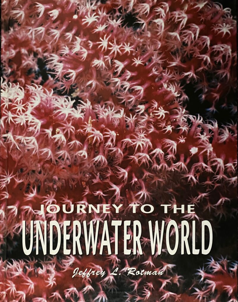 Journey to Underwater world