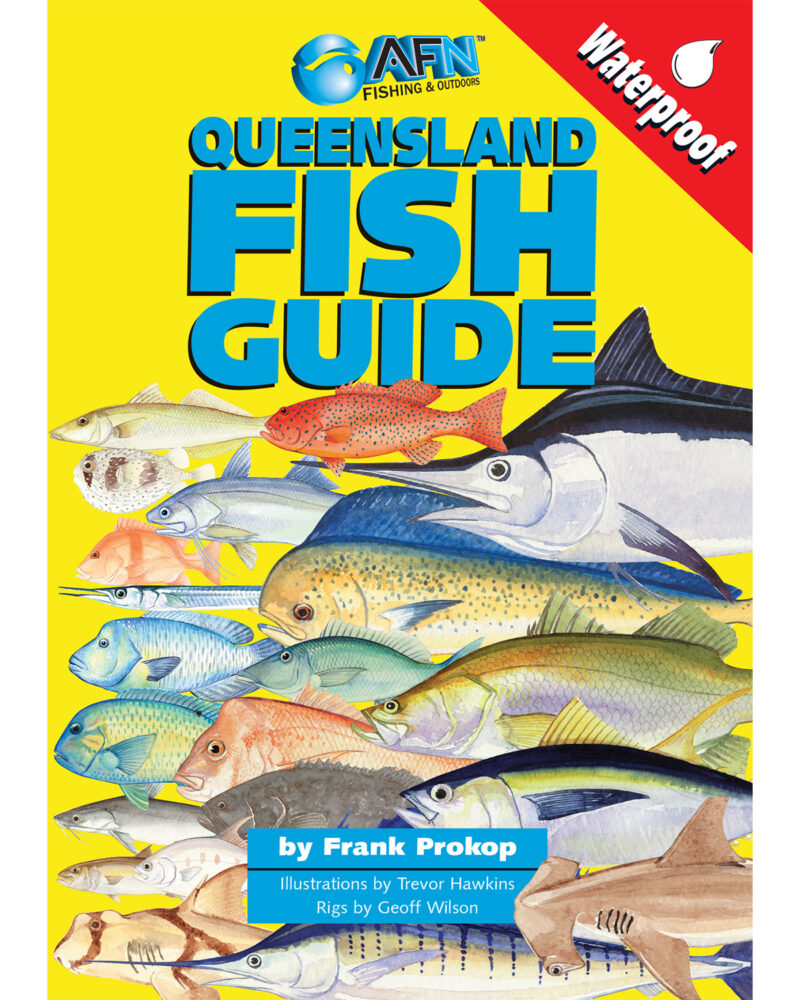 Qld Fishing Guide