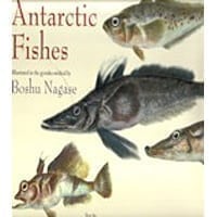 Antarctic Fishes